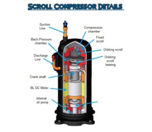 Scroll compressor details