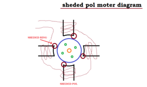sheded pol motor Circuit