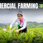 Commercial Farming