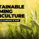 sustainable farming agriculture