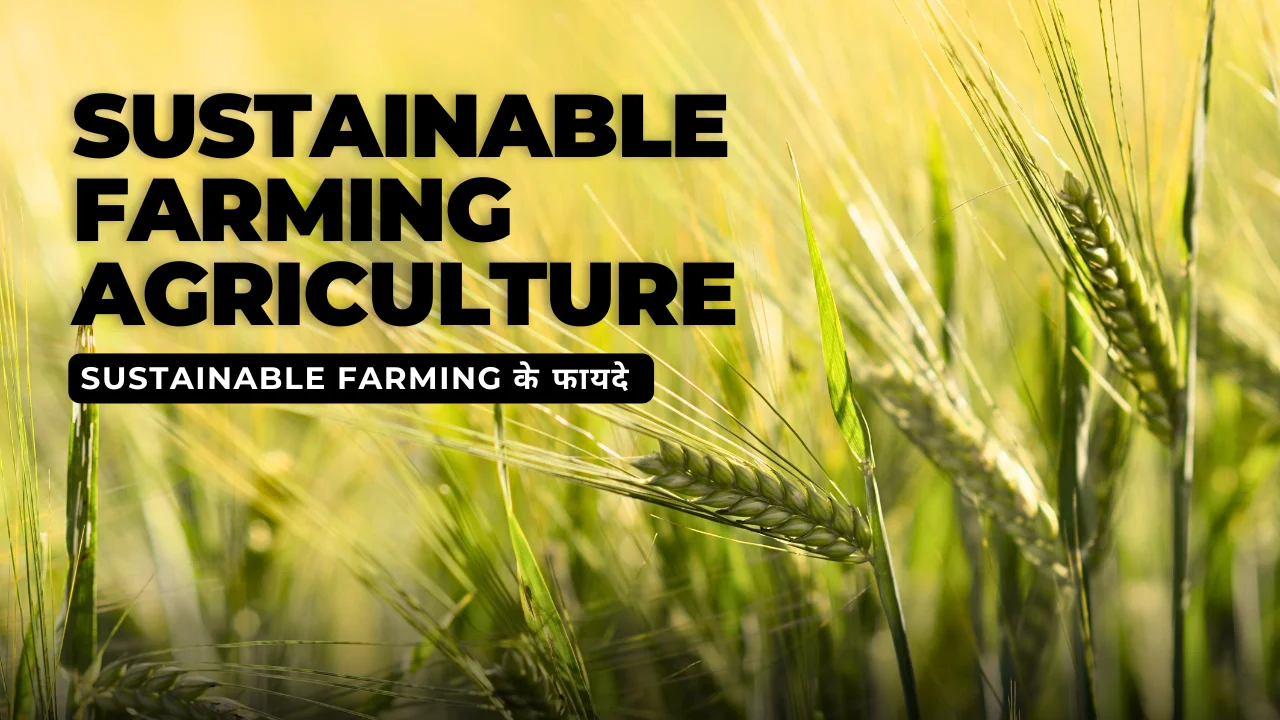 sustainable farming agriculture