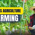 type of farming